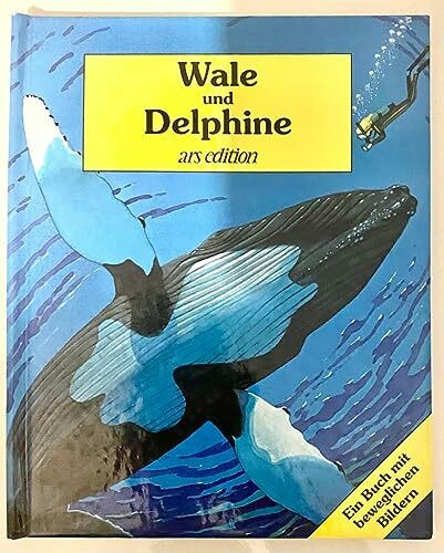 Wale und Delphine / POP-UP-Buch für das Erstlesealter