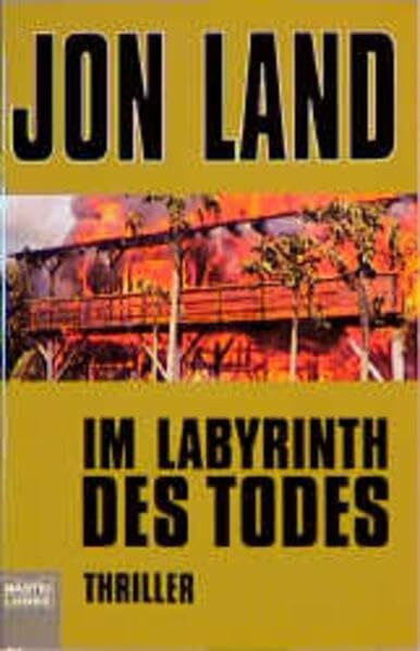 Labyrinth des Todes (Allgemeine Reihe. Bastei Lübbe Taschenbücher)