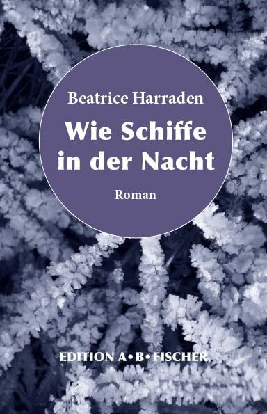 Wie Schiffe in der Nacht: Roman
