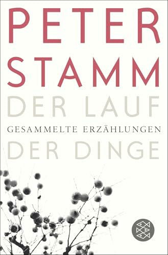 Der Lauf der Dinge: Gesammelte Erzählungen