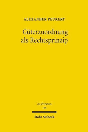 Güterzuordnung als Rechtsprinzip (Jus Privatum, Band 138)