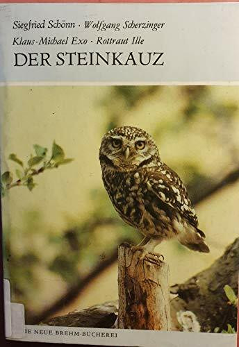 Der Steinkauz. Athene noctua
