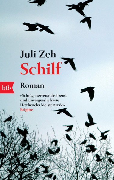 Schilf: Roman