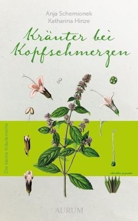 Kräuter bei Kopfschmerzen