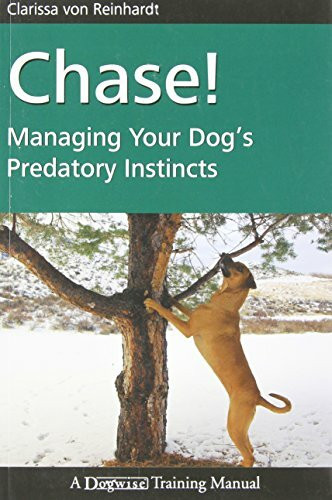 Chase!: Managing Your Dog's Predatory Instincts