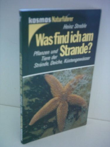 Was find ich am Strande?