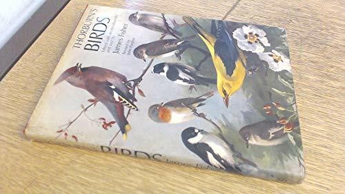 Thorburn's Birds