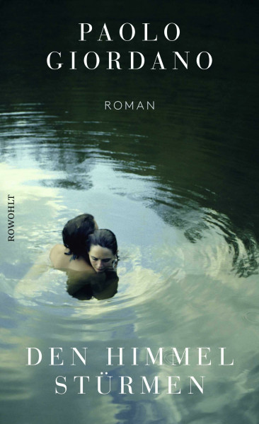 Den Himmel stürmen: Roman
