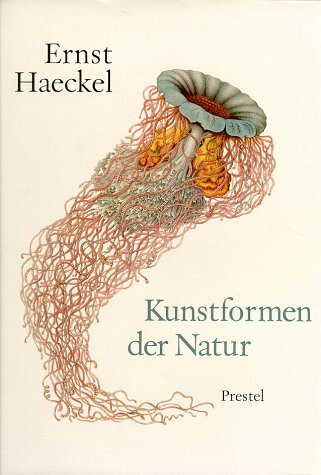 Kunstformen der Natur