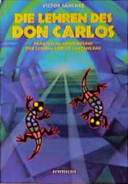 Die Lehren des Don Carlos: Praktische Anwendung der Lehren Carlos Castanedes