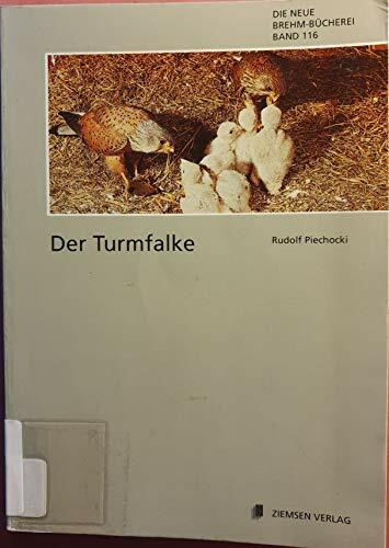 Der Turmfalke. Falco tinnunculus