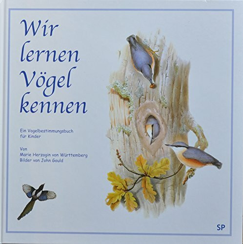 Wir lernen Vögel kennen: Ein Vogelbestimmungsbuch für Kinder