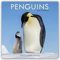 Penguins - Pinguine 2022 - 18-Monatskalender