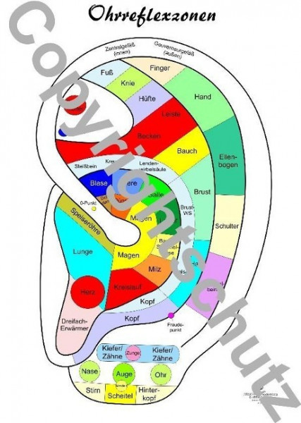 Ohrreflexzonenübersicht