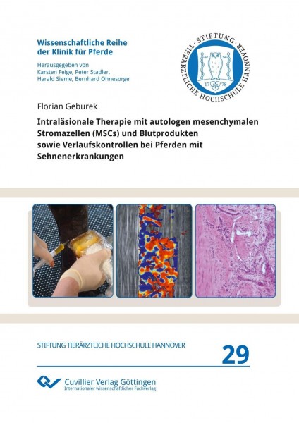 Intraläsionale Therapie mit autologen mesenchymalen Stromazellen (MSCs) und Blutprodukten sowie Verl