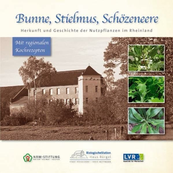 Bunne, Stielmus, Schözeneere: Herkunft und Geschichte der Nutzpflanzen im Rheinland: Herkunft und Geschichte der Nutzpflanzen im Rheinland. ... Rheinland; Biologische Station Haus Bürgel