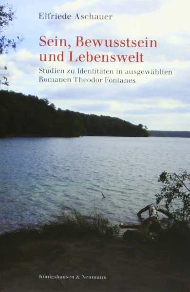 Sein, Bewusstsein und Lebenswelt: Studien zu Identitäten in ausgewählten Romanen Theodor Fontanes (Epistemata Literaturwissenschaft)