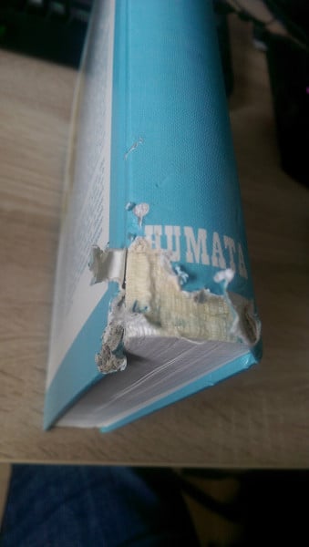 Atemheilkunst