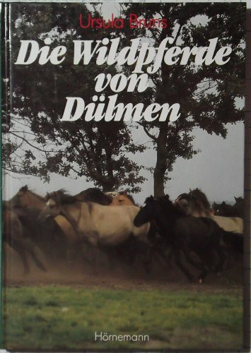 Die Wildpferde von Dülmen