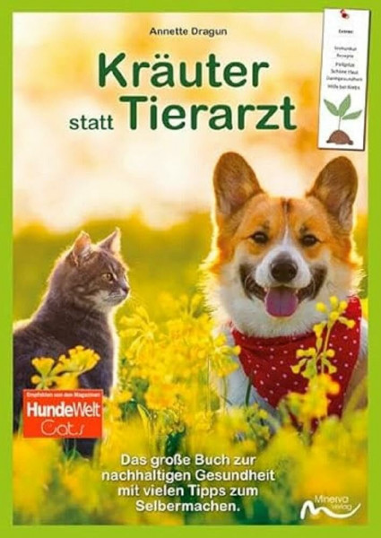 Kräuter statt Tierarzt: Heilpflanzen für Hunde und Katzen