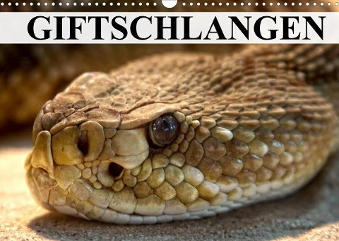Giftschlangen (Wandkalender 2022 DIN A3 quer)
