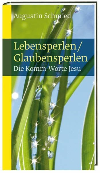 Lebensperlen / Glaubensperlen: Die Komm-Worte Jesu