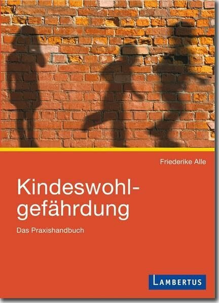 Kindeswohlgefährdung: Das Praxishandbuch
