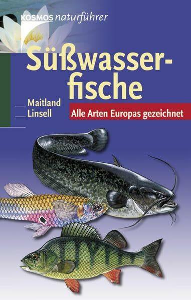 Süßwasserfische: Alle Arten Europas gezeichnet