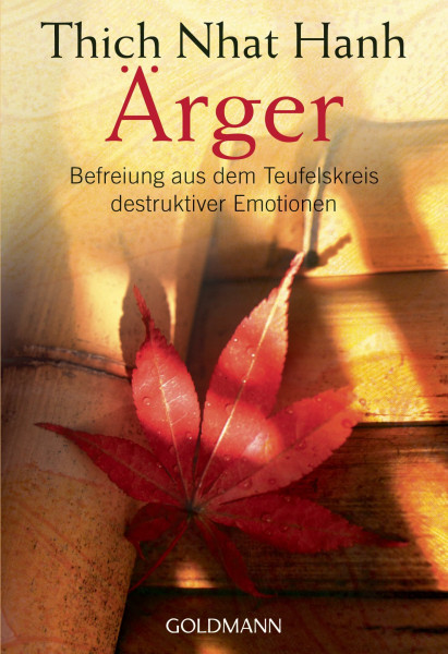 Ärger: Befreiung aus dem Teufelskreis destruktiver Emotionen