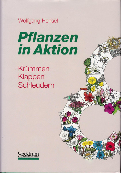 Pflanzen in Aktion: Krümmen, Klappen, Schleudern
