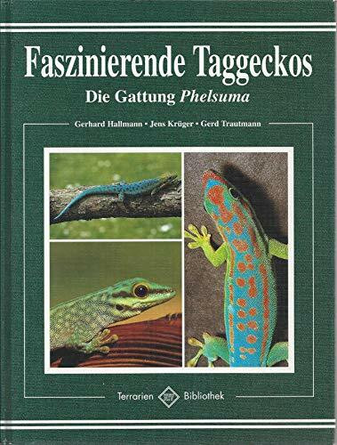 Faszinierende Taggeckos