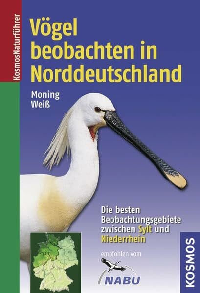 Vögel beobachten in Norddeutschland: Die besten Beobachtungsgebiete zwischen Sylt und Niederrhein