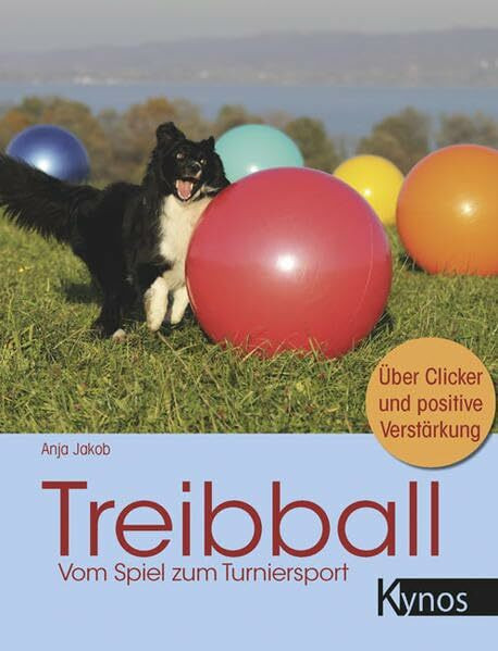 Treibball: Vom Spiel zum Turniersport
