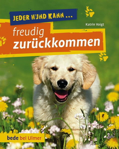 Jeder Hund kann freudig zurückkommen: Rückruf-Training leicht gemacht