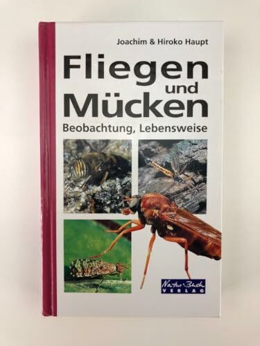 Fliegen und Mücken