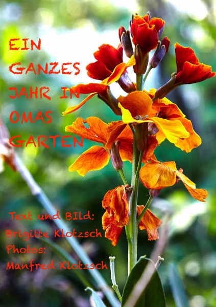 Ein ganzes Jahr in Omas Garten