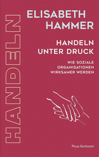 Handeln unter Druck: Wie soziale Organisationen wirksamer werden (Picus Konturen)