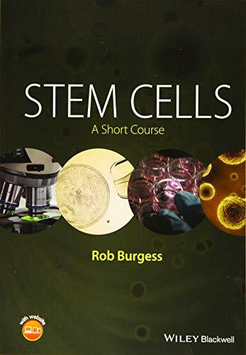 Stem Cells: A Short Course