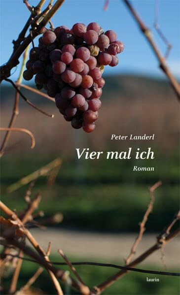 Vier mal ich: Roman