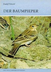 Der Baumpieper