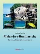 Malawisee-Buntbarsche 02