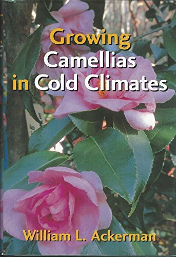 Growing Camellias in Cold Climates