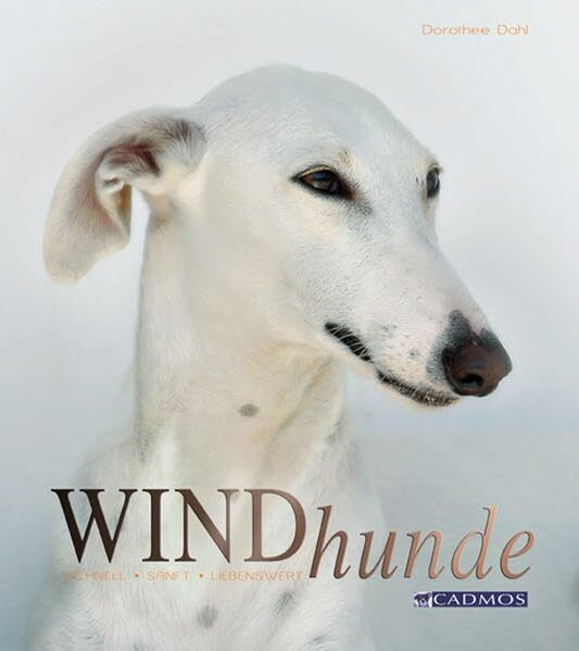 Windhunde: Schnell, sanft, liebenswert (Cadmos Hundebuch)