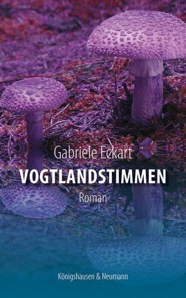 Vogtlandstimmen: Roman