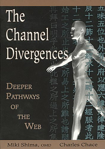 The Channel Divergences: Deeper Pathways of the Web