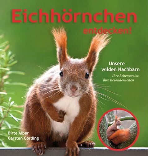 Eichhörnchen entdecken!: Unsere wilden Nachbarn – Ihre Lebensweise, ihre Besonderheiten