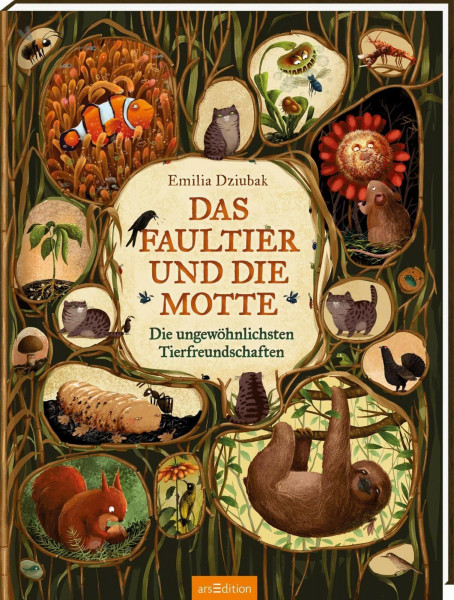 Das Faultier und die Motte: Die ungewöhnlichsten Tierfreundschaften