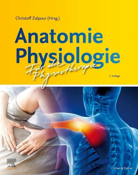 Anatomie Physiologie für die Physiotherapie: .: .