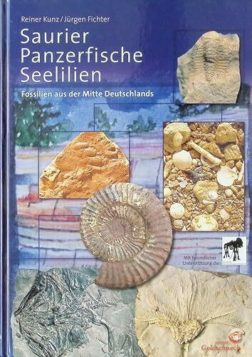 Saurier, Panzerfische, Seelilien: Fossilien aus der Mitte Deutschlands