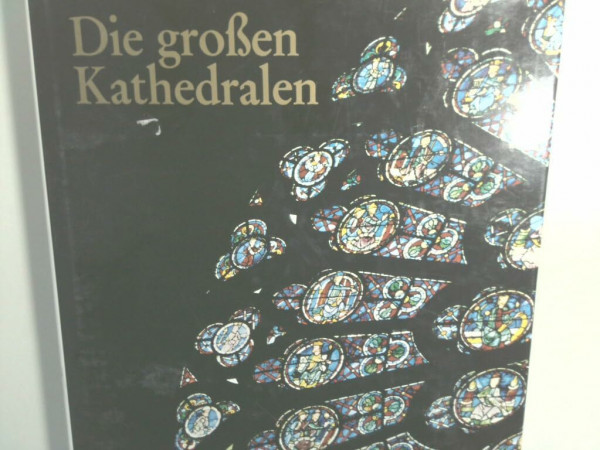 Die grossen Kathedralen: Albi, Amiens, Canterbury, Florenz, Köln, Paris, Mailand, Regensburg Siena, Strassburg, Toledo, Ulm, Wien, New York u.v.m.
